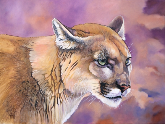 Cougar/ Catamount/ Mountain Lion/ Puma